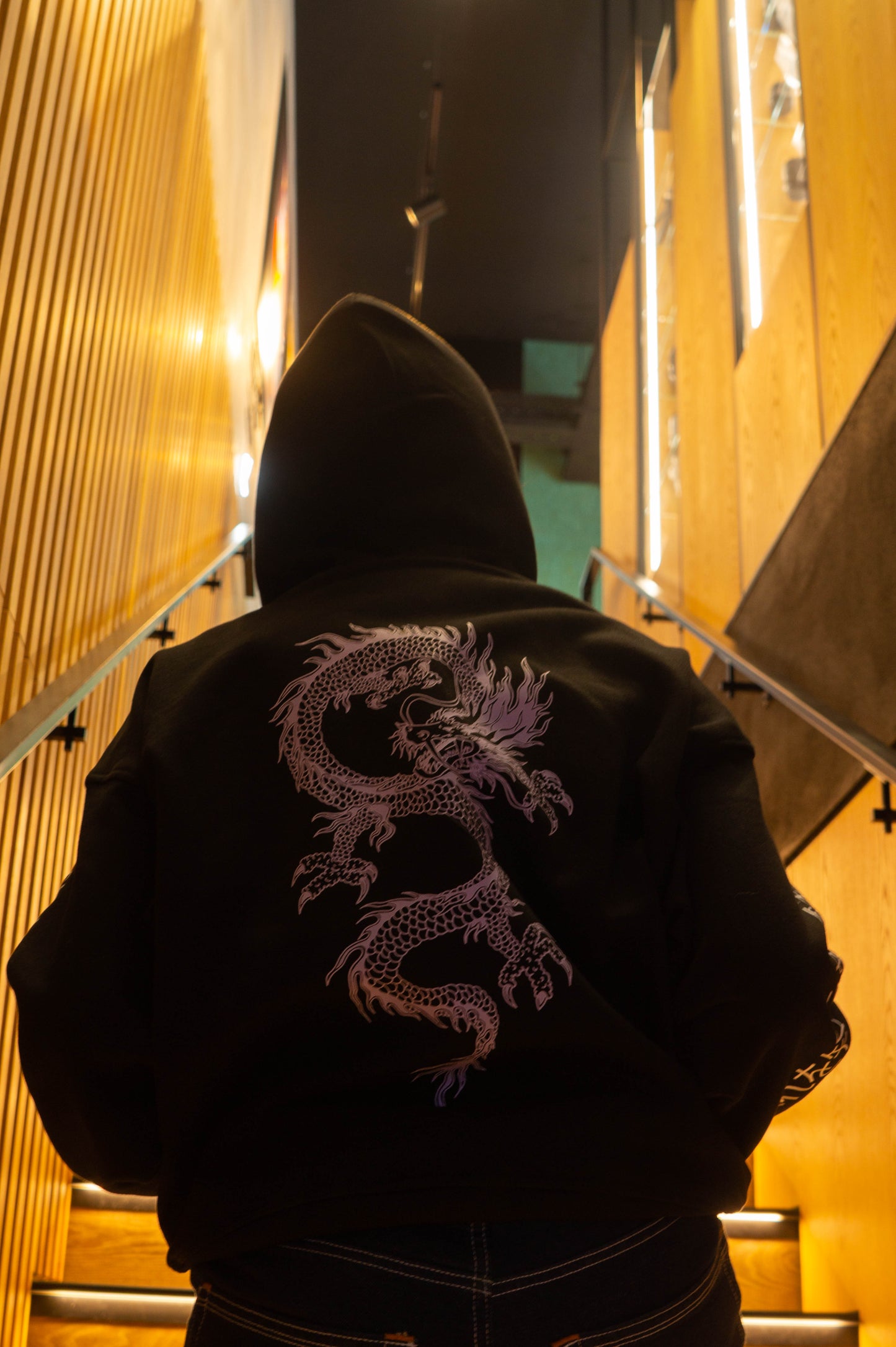 Dragon Zip-up Hoodie (Pre-Order Price!)