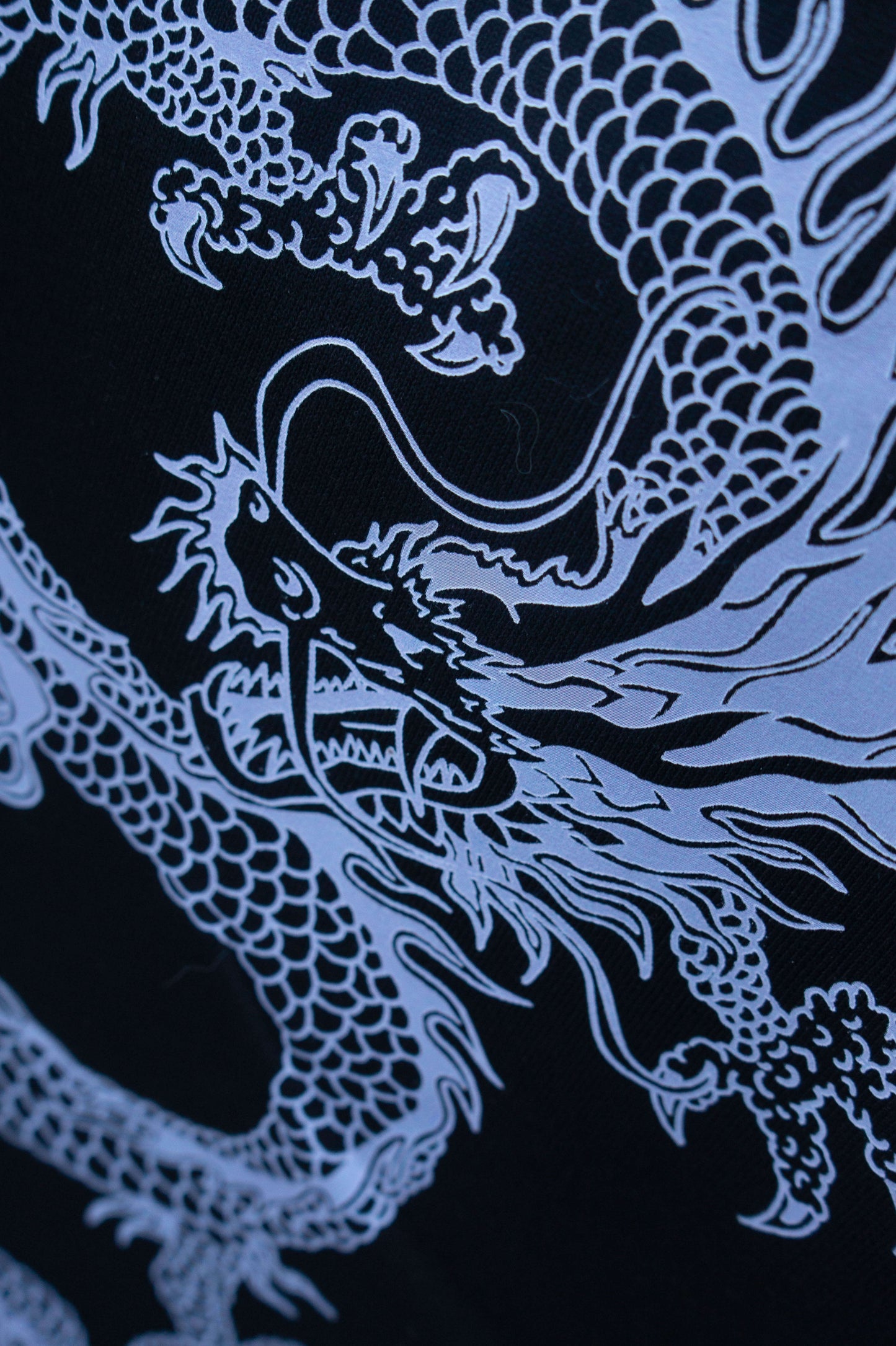 Dragon Zip-up Hoodie (Pre-Order Price!)